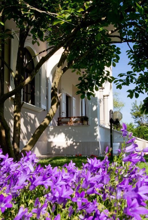 La Coralia B&B 마사 외부 사진